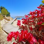 Bella Varna